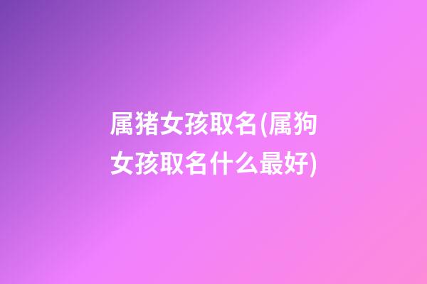 属猪女孩取名(属狗女孩取名什么最好)