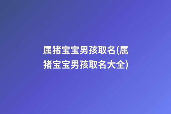 属猪宝宝男孩取名(属猪宝宝男孩取名大全)