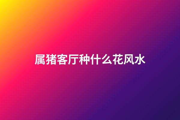 属猪客厅种什么花风水