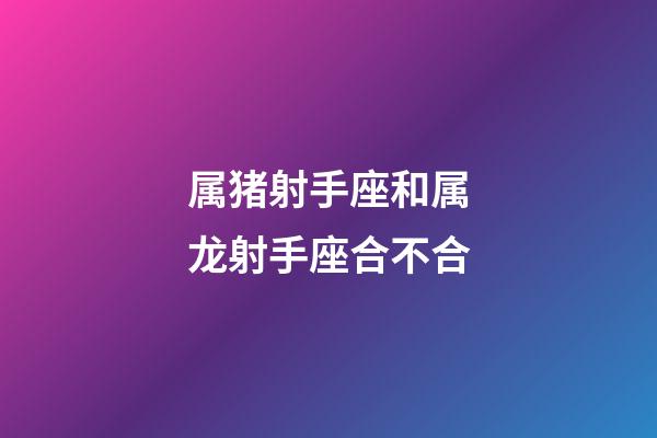 属猪射手座和属龙射手座合不合-第1张-星座运势-玄机派