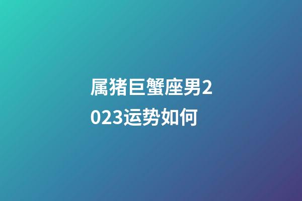 属猪巨蟹座男2023运势如何-第1张-星座运势-玄机派