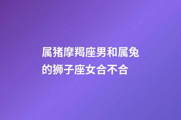 属猪摩羯座男和属兔的狮子座女合不合-第1张-星座运势-玄机派