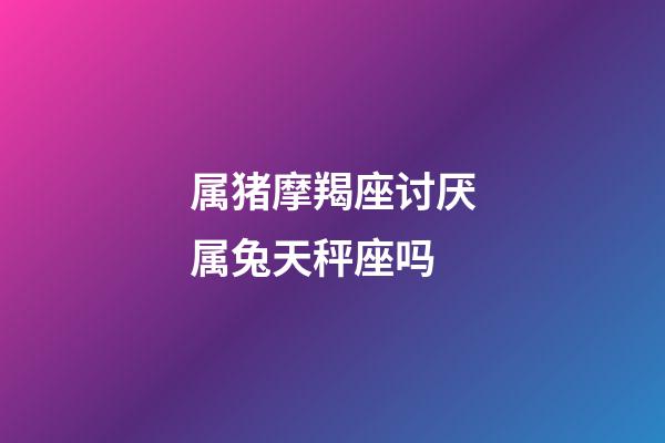 属猪摩羯座讨厌属兔天秤座吗-第1张-星座运势-玄机派