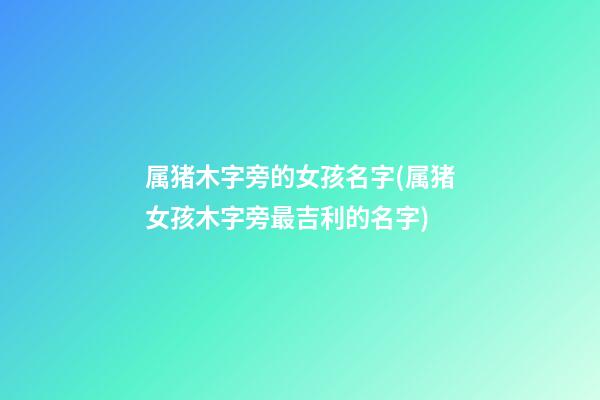 属猪木字旁的女孩名字(属猪女孩木字旁最吉利的名字)