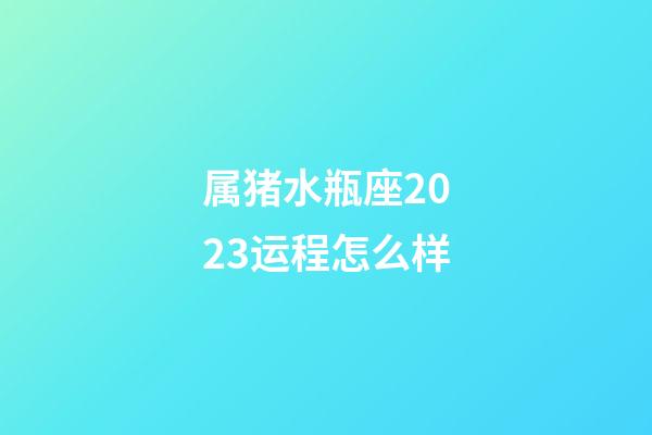 属猪水瓶座2023运程怎么样