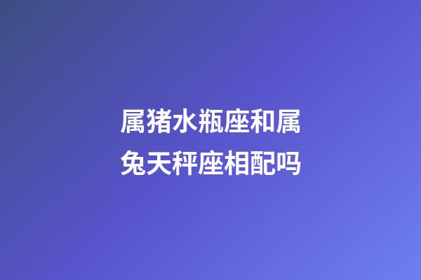 属猪水瓶座和属兔天秤座相配吗-第1张-星座运势-玄机派