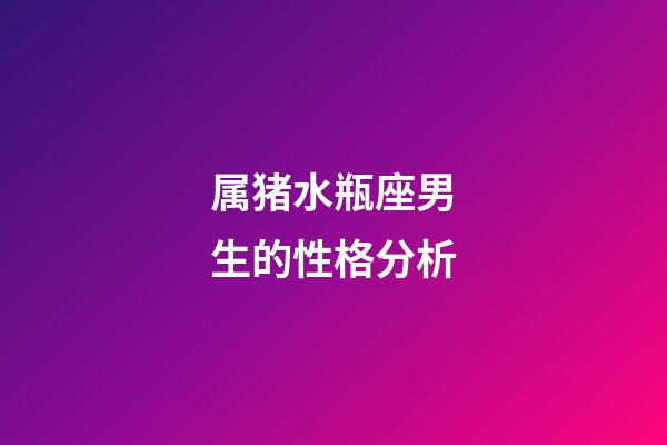 属猪水瓶座男生的性格分析-第1张-星座运势-玄机派
