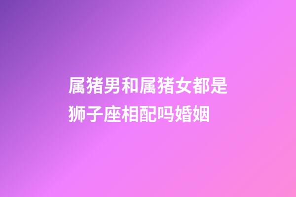 属猪男和属猪女都是狮子座相配吗婚姻-第1张-星座运势-玄机派