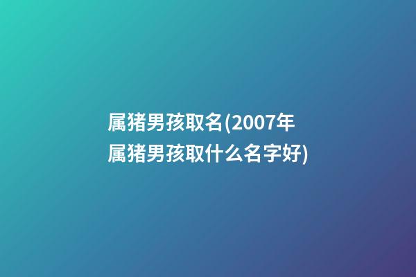 属猪男孩取名(2007年属猪男孩取什么名字好)
