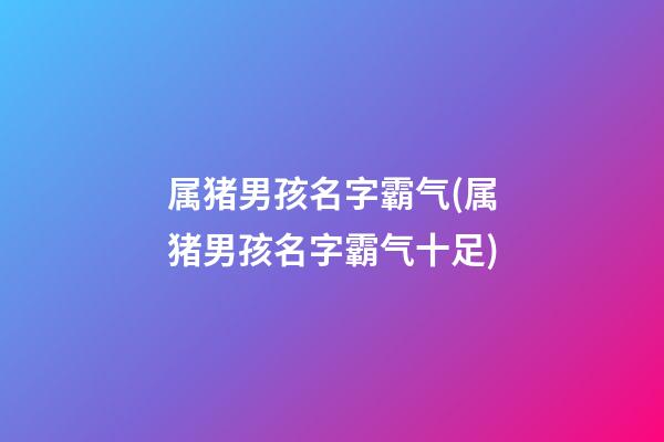 属猪男孩名字霸气(属猪男孩名字霸气十足)