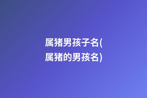 属猪男孩子名(属猪的男孩名)