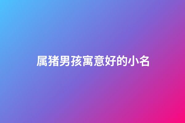 属猪男孩寓意好的小名