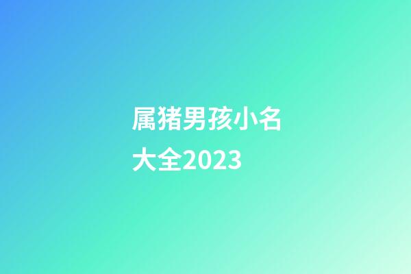 属猪男孩小名大全2023