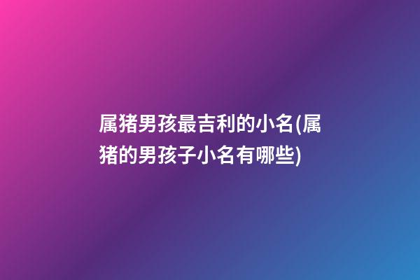 属猪男孩最吉利的小名(属猪的男孩子小名有哪些)