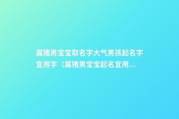 属猪男宝宝取名字大气男孩起名字宜用字（属猪男宝宝起名宜用字大全）