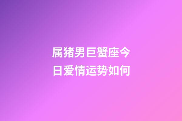 属猪男巨蟹座今日爱情运势如何-第1张-星座运势-玄机派