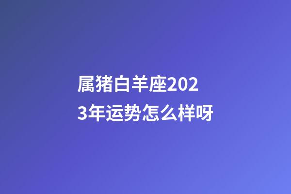 属猪白羊座2023年运势怎么样呀-第1张-星座运势-玄机派