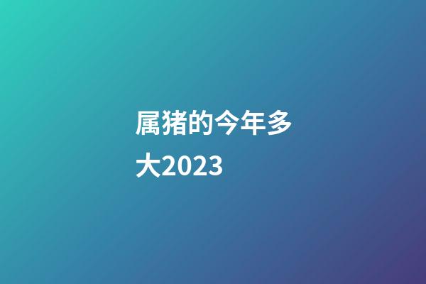 属猪的今年多大2023