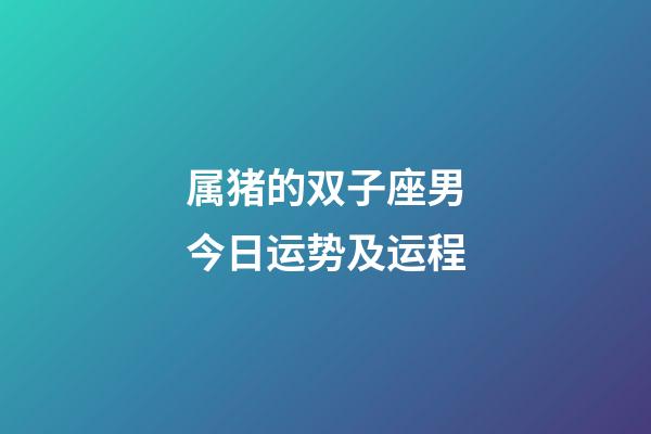 属猪的双子座男今日运势及运程-第1张-星座运势-玄机派