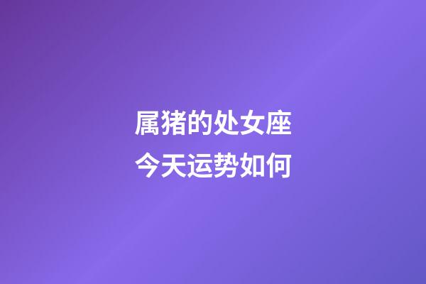 属猪的处女座今天运势如何-第1张-星座运势-玄机派