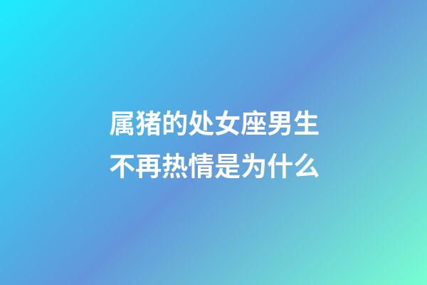 属猪的处女座男生不再热情是为什么-第1张-星座运势-玄机派