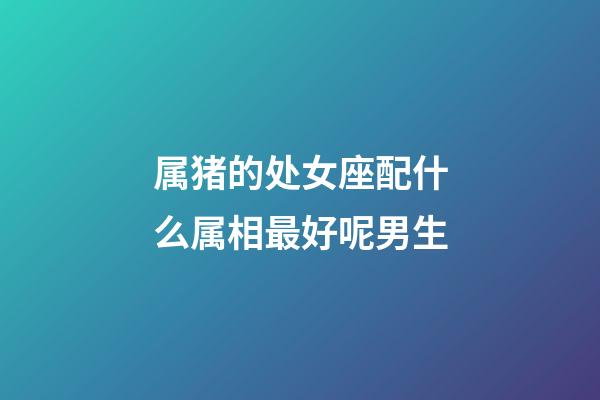 属猪的处女座配什么属相最好呢男生-第1张-星座运势-玄机派