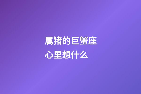 属猪的巨蟹座心里想什么-第1张-星座运势-玄机派