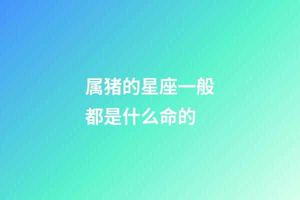 属猪的星座一般都是什么命的-第1张-星座运势-玄机派