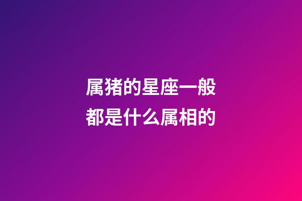 属猪的星座一般都是什么属相的-第1张-星座运势-玄机派
