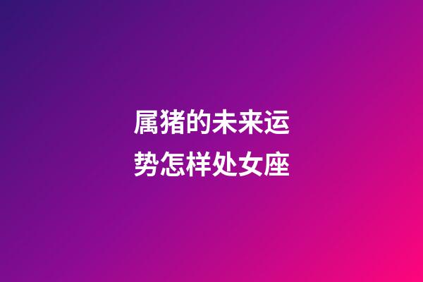 属猪的未来运势怎样处女座