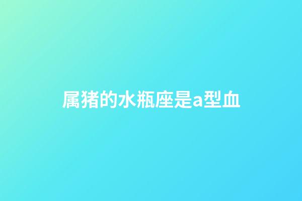 属猪的水瓶座是a型血