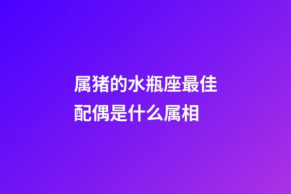 属猪的水瓶座最佳配偶是什么属相-第1张-星座运势-玄机派