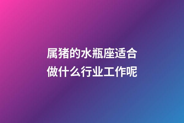 属猪的水瓶座适合做什么行业工作呢-第1张-星座运势-玄机派