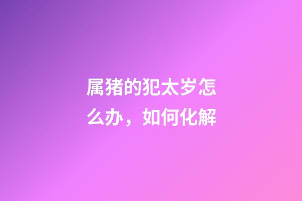 属猪的犯太岁怎么办，如何化解