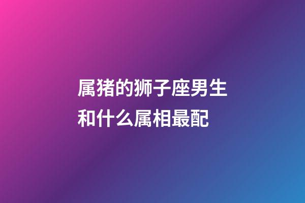 属猪的狮子座男生和什么属相最配-第1张-星座运势-玄机派