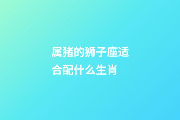 属猪的狮子座适合配什么生肖-第1张-星座运势-玄机派