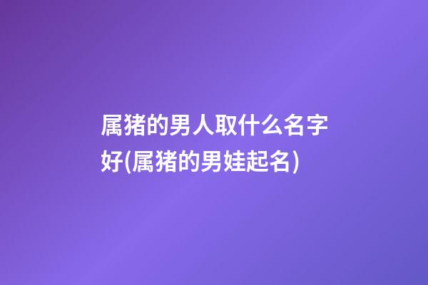 属猪的男人取什么名字好(属猪的男娃起名)