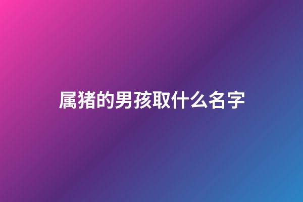 属猪的男孩取什么名字