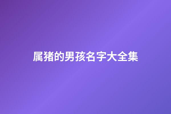 属猪的男孩名字大全集