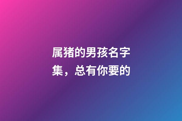 属猪的男孩名字集，总有你要的