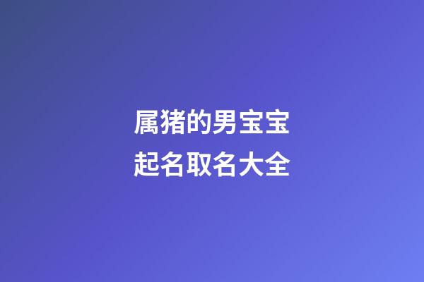 属猪的男宝宝起名取名大全