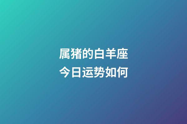 属猪的白羊座今日运势如何-第1张-星座运势-玄机派