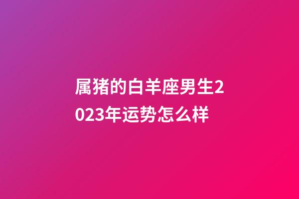 属猪的白羊座男生2023年运势怎么样-第1张-星座运势-玄机派