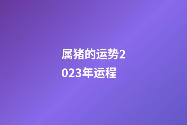 属猪的运势2023年运程