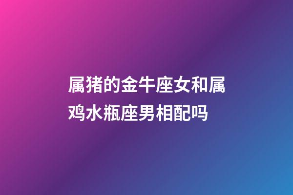 属猪的金牛座女和属鸡水瓶座男相配吗-第1张-星座运势-玄机派