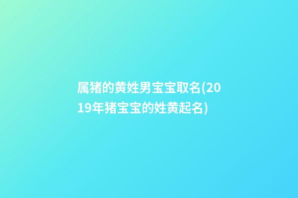 属猪的黄姓男宝宝取名(2019年猪宝宝的姓黄起名)