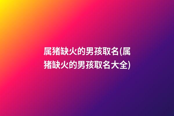 属猪缺火的男孩取名(属猪缺火的男孩取名大全)