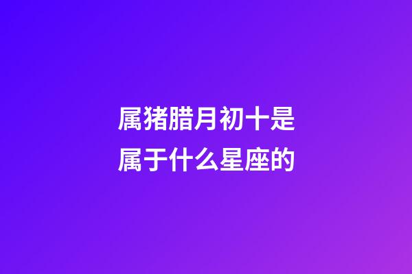属猪腊月初十是属于什么星座的