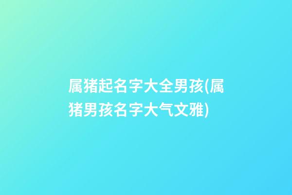 属猪起名字大全男孩(属猪男孩名字大气文雅)