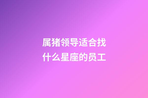 属猪领导适合找什么星座的员工-第1张-星座运势-玄机派